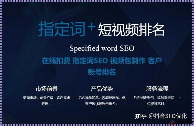 Seo 短视频网页入口引流：开启流量新通道