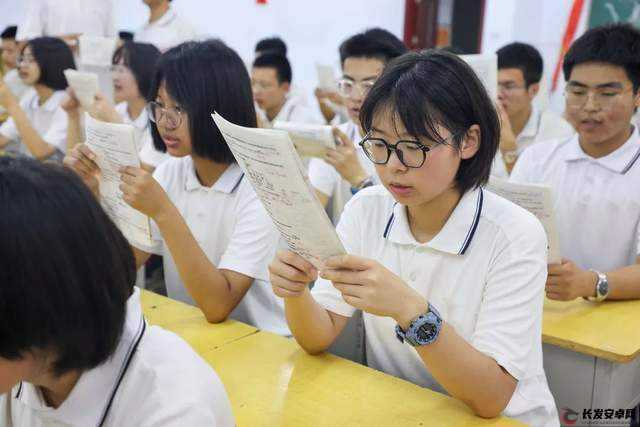 写作业坐在捧捧上面：别样的学习姿势